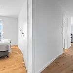 Rosebud Bay Appartement